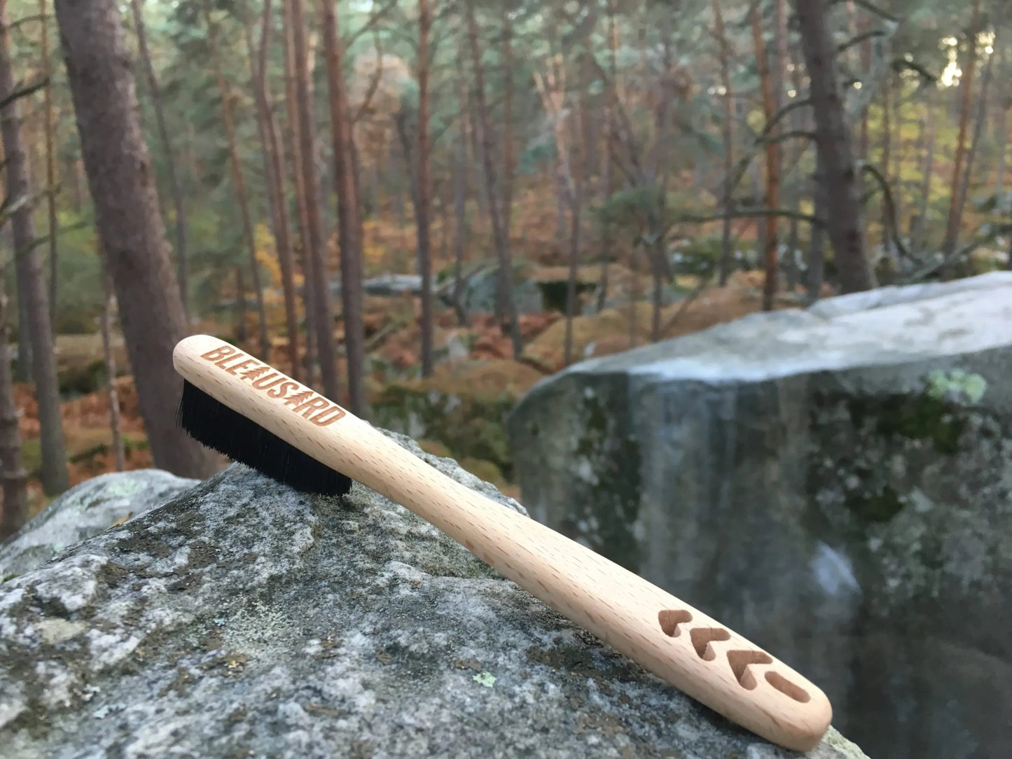 Eco Brush