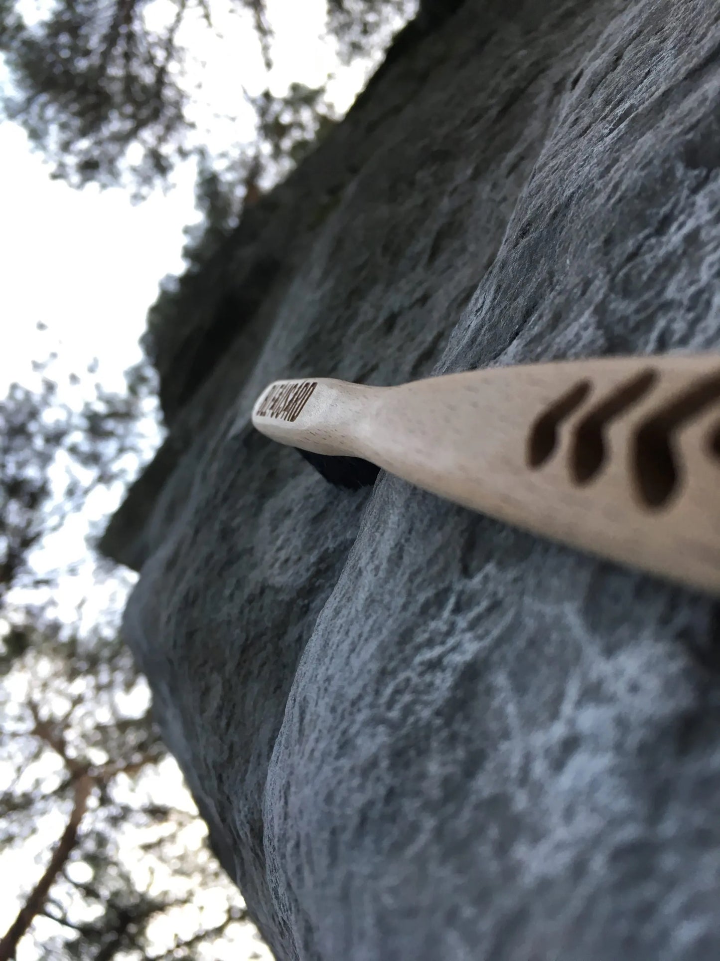 Eco Brush