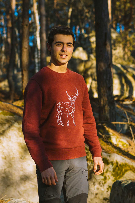Men's "Cervidae" embroidered sweater