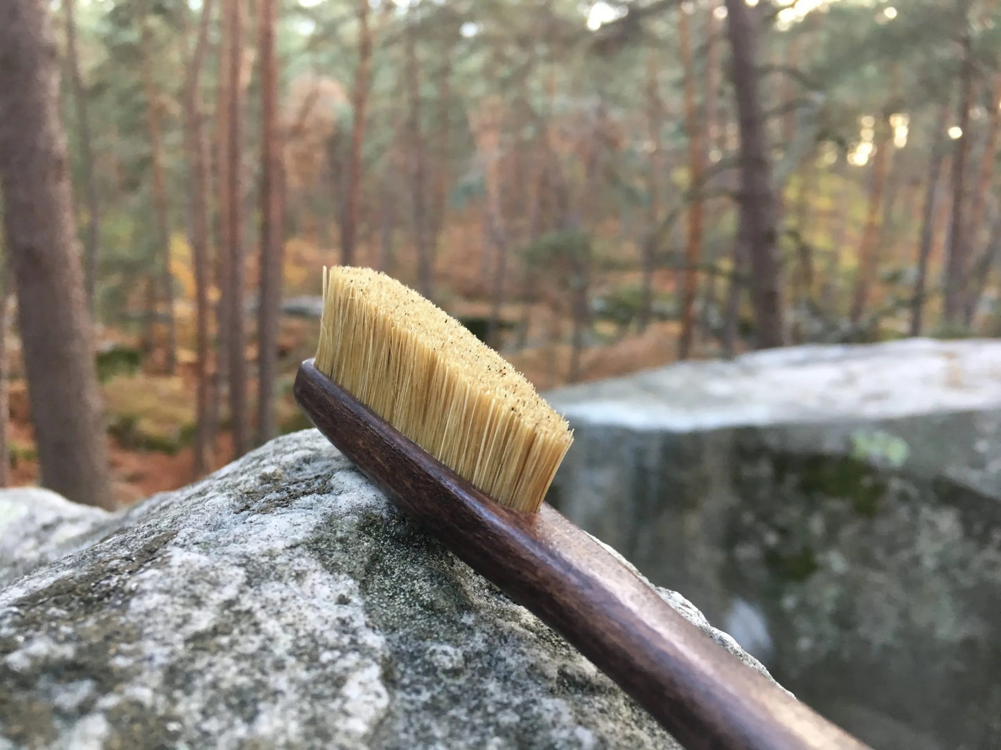 Eco Brush “Oak”